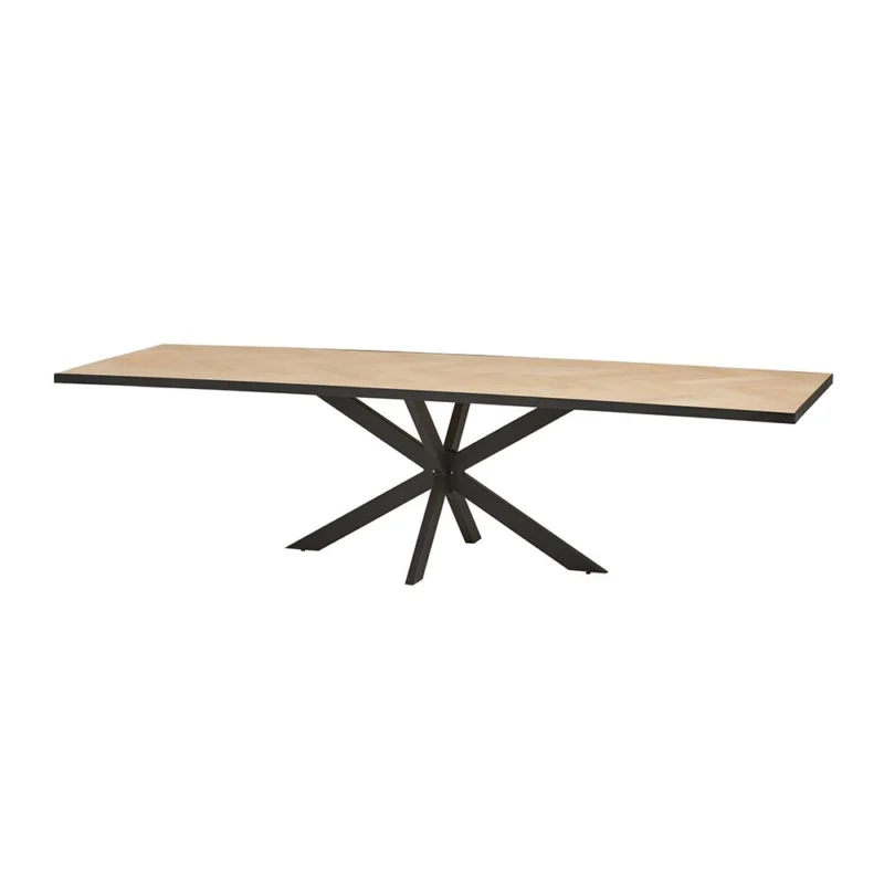 Dagaanbieding Luzern Eetkamertafel 200x100 met metaalrand en spinpoot
