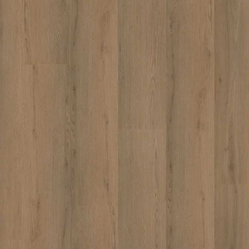Seizoensaanbieding Ambiant Venera dryback dark oak