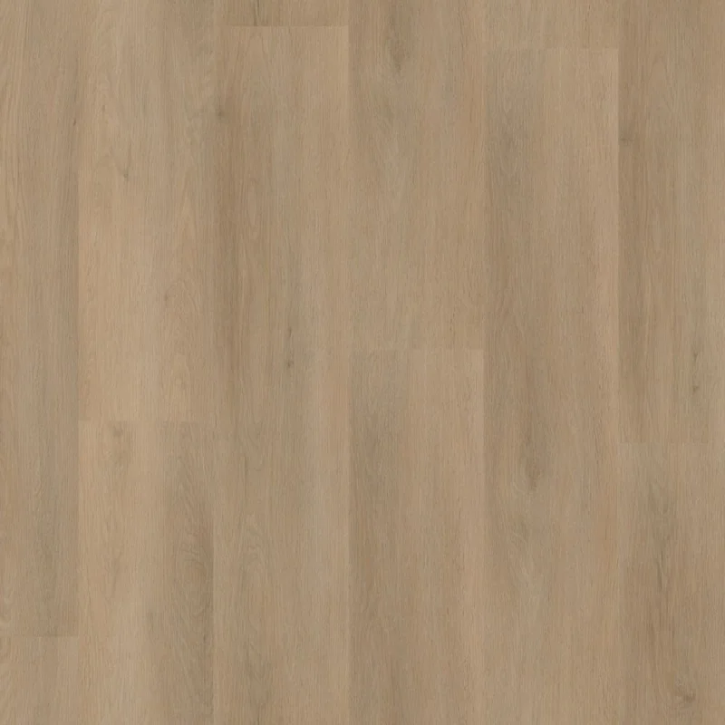Laatste Kans Ambiant Sentima click beige