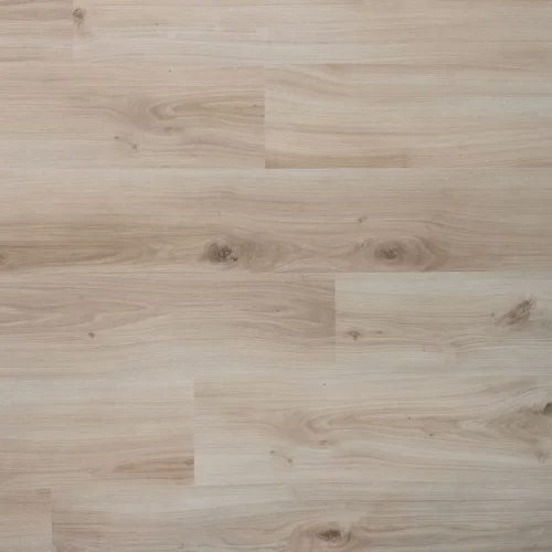 Nu Kopen DD Plank Gember