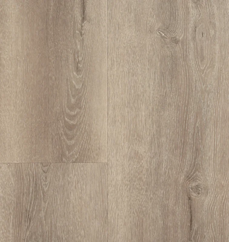Hebeta Clermont XL Plank 54824 Favoriet