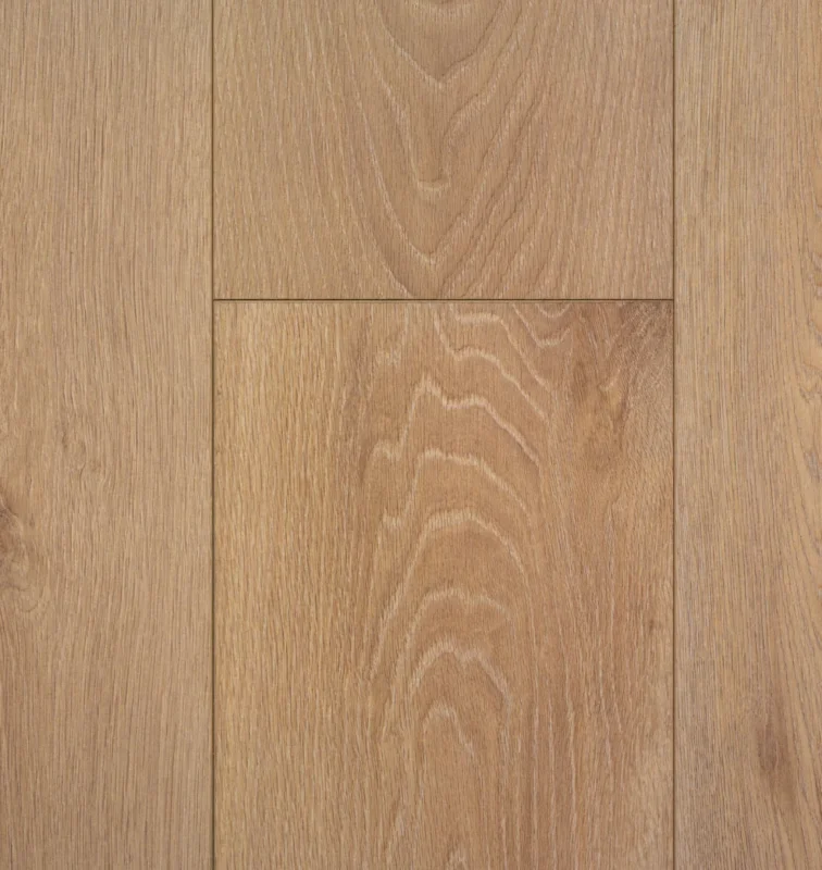 Must-Have Hebeta Organic Rigid Core 7-660