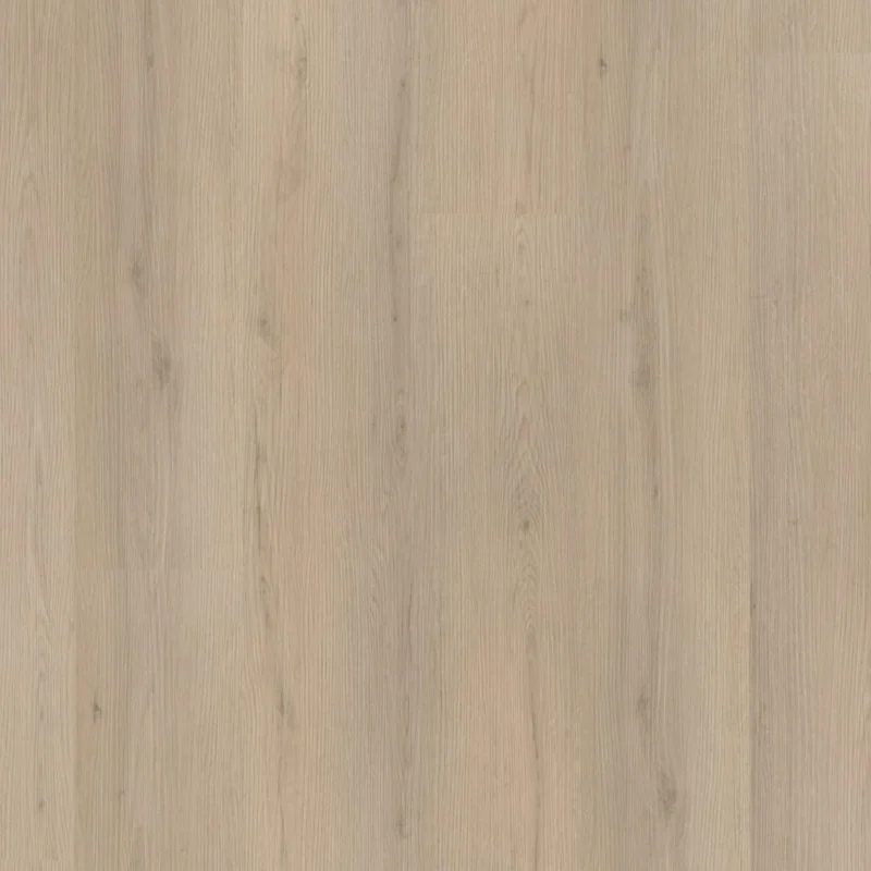 Koop Vandaag Floorlife Barnet click beige