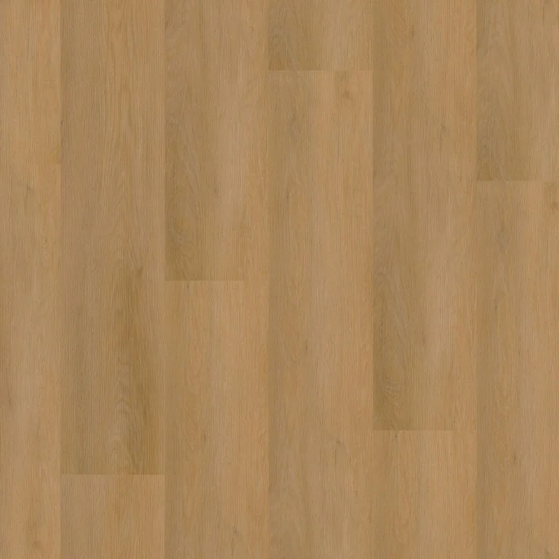 Ambiant Sentima dryback dark oak Shop Nu