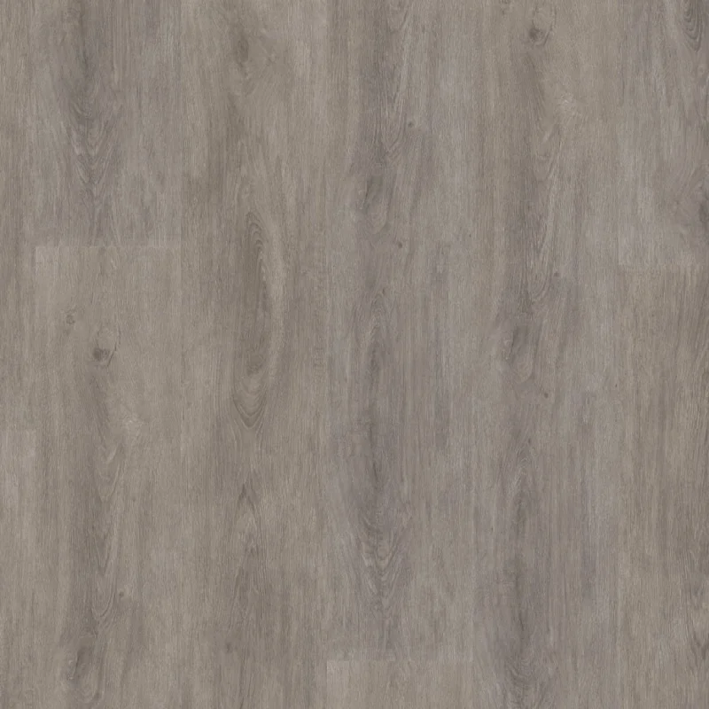 Ambiant Robusto click SRC grey oak Koopje