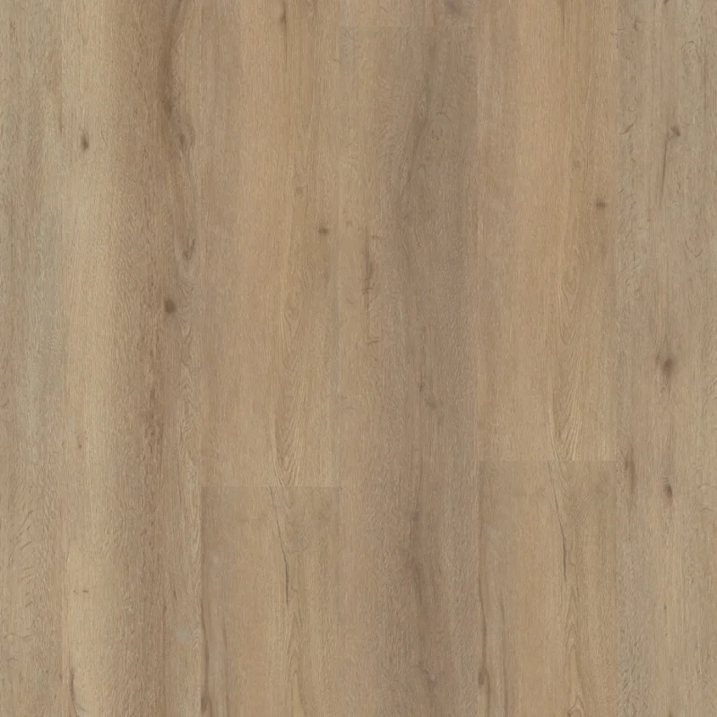 Must-Have Straq P410 dryback natural oak