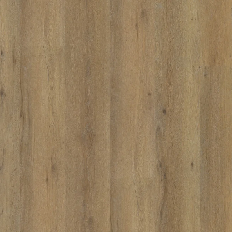 Straq P410 dryback dark oak Lage Prijs