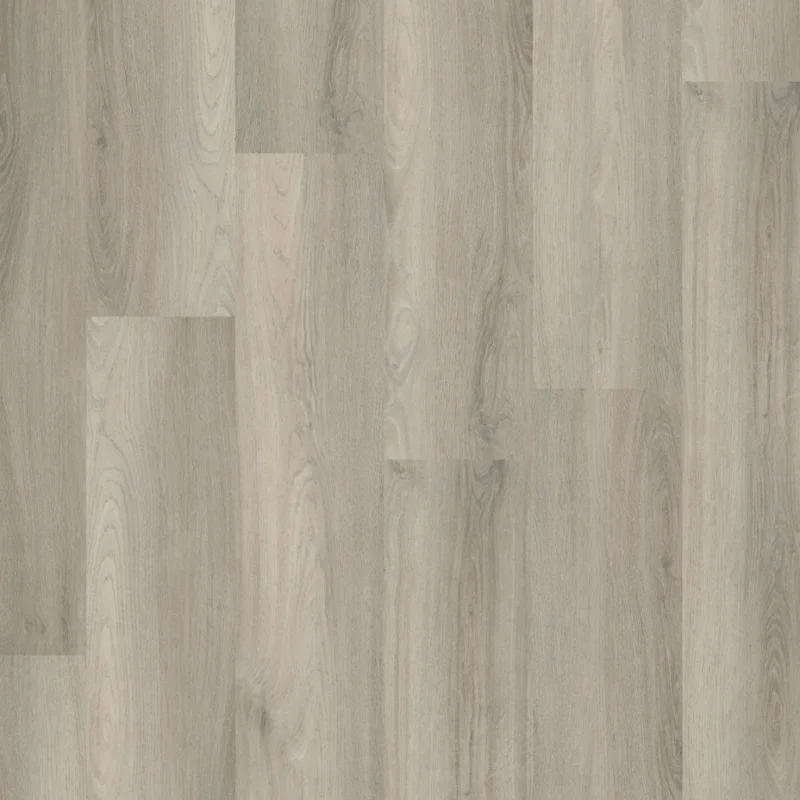 Laatste Versie Straq P405 click SRC light grey