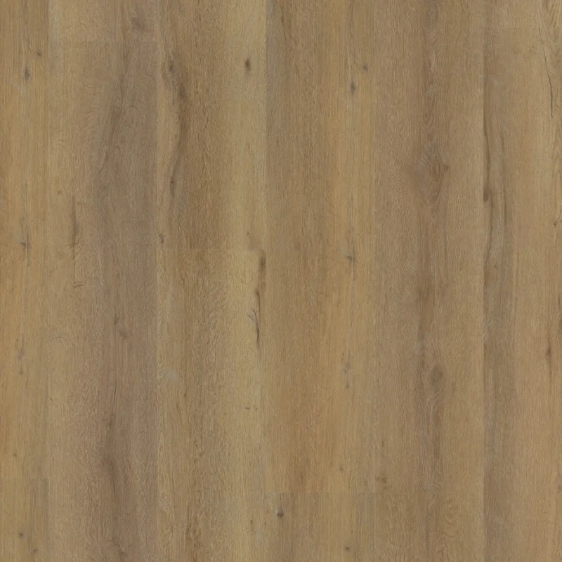 Straq P415 click SRC dark oak Korting