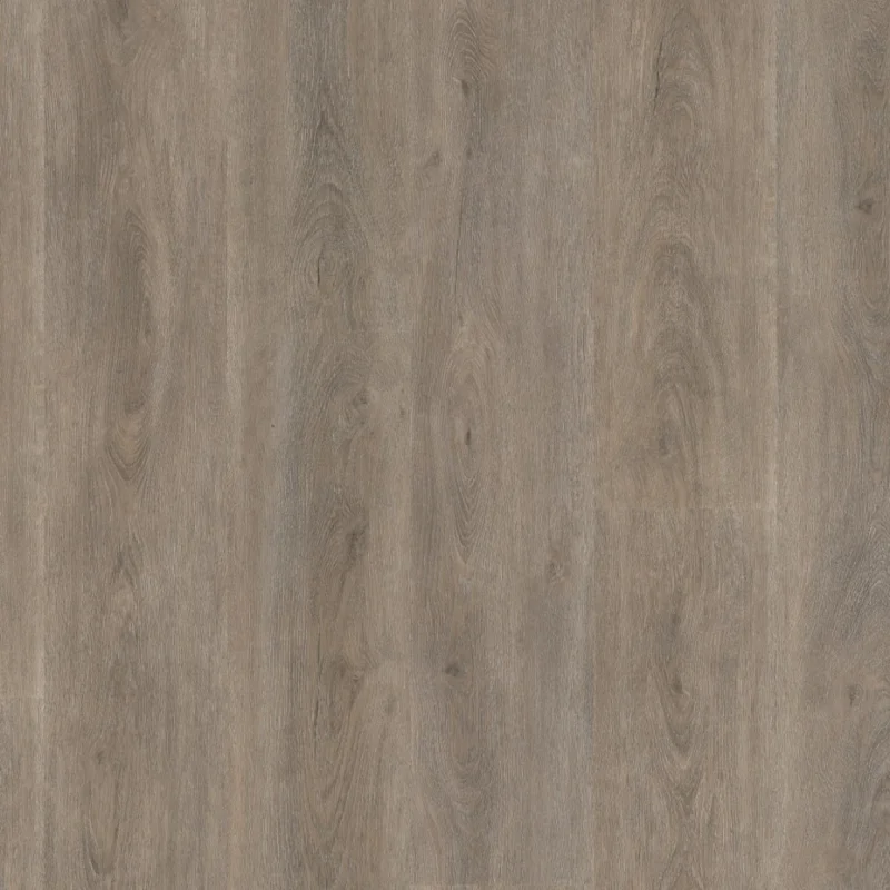 Snelle Levering Straq P430 dryback smoky