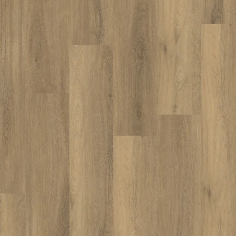 Gecertificeerd Straq P400 dryback natural