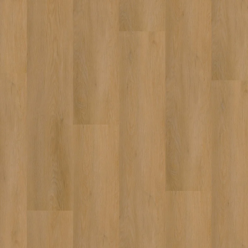 Snelle Levering Straq P450 dryback dark oak