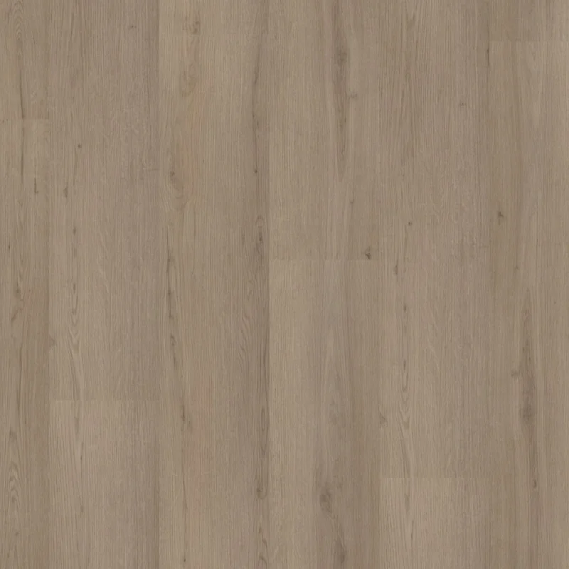 Favoriet Straq P460 dryback smoky