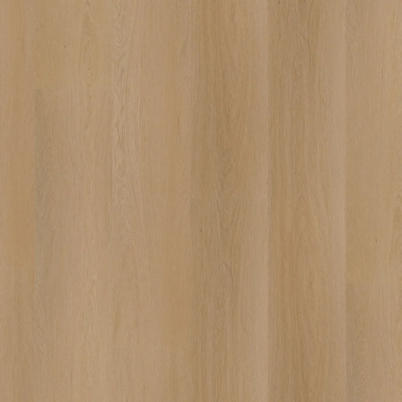 Straq P425 click SRC dark oak Beste Prijs