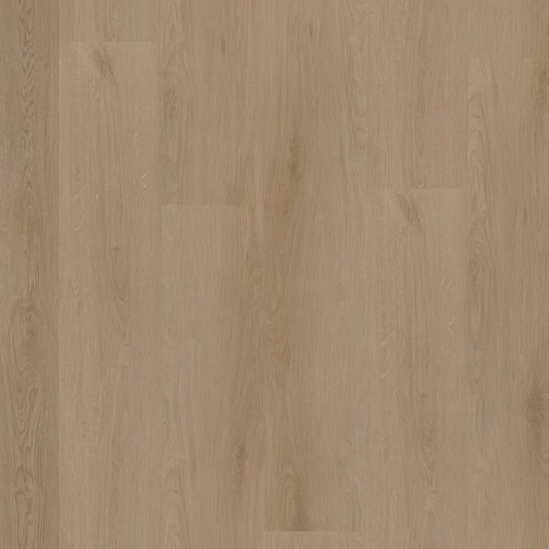 Exclusieve Aanbieding Straq P440 dryback dark oak