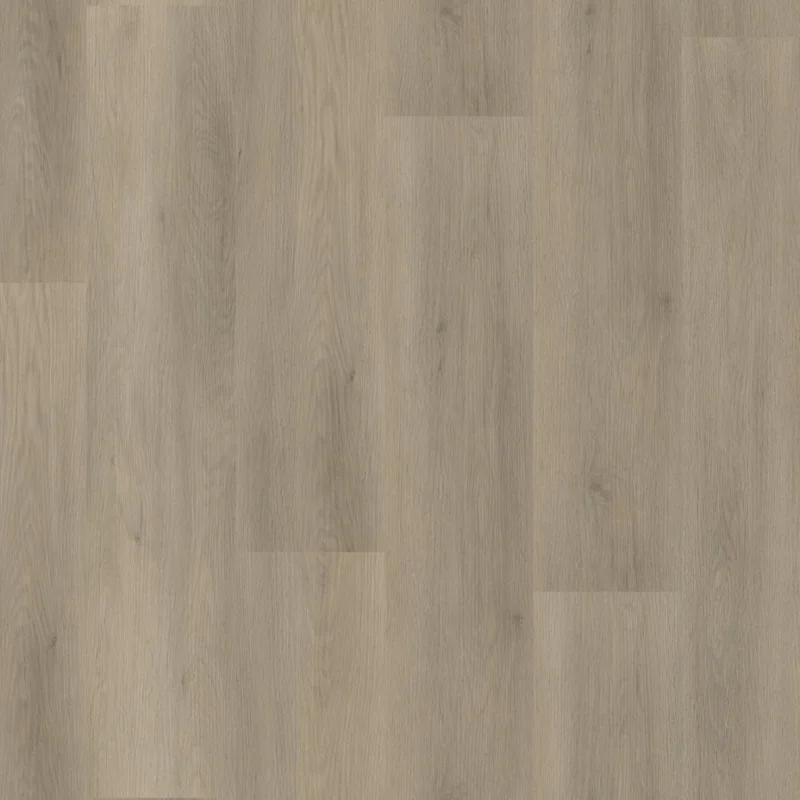 Straq P450 dryback smoky Merkproduct