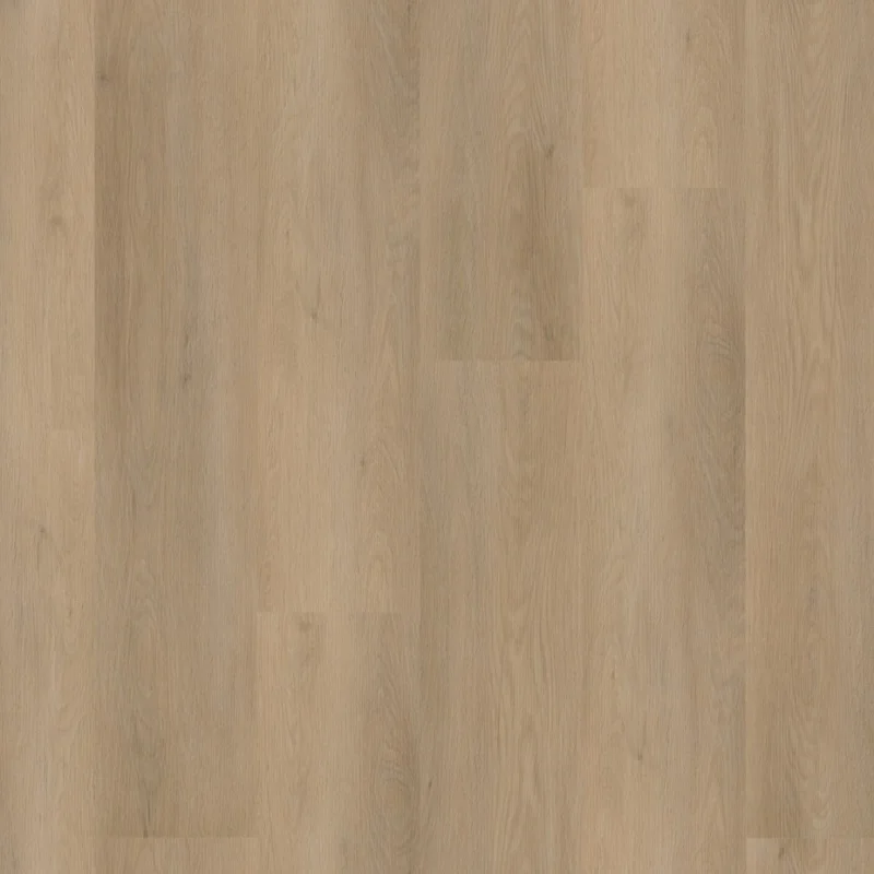 Straq P450 dryback beige Gratis Retour