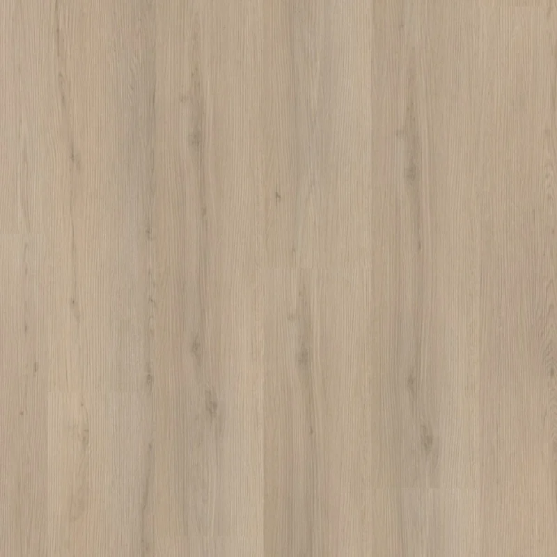 Straq P460 dryback beige Shop Nu