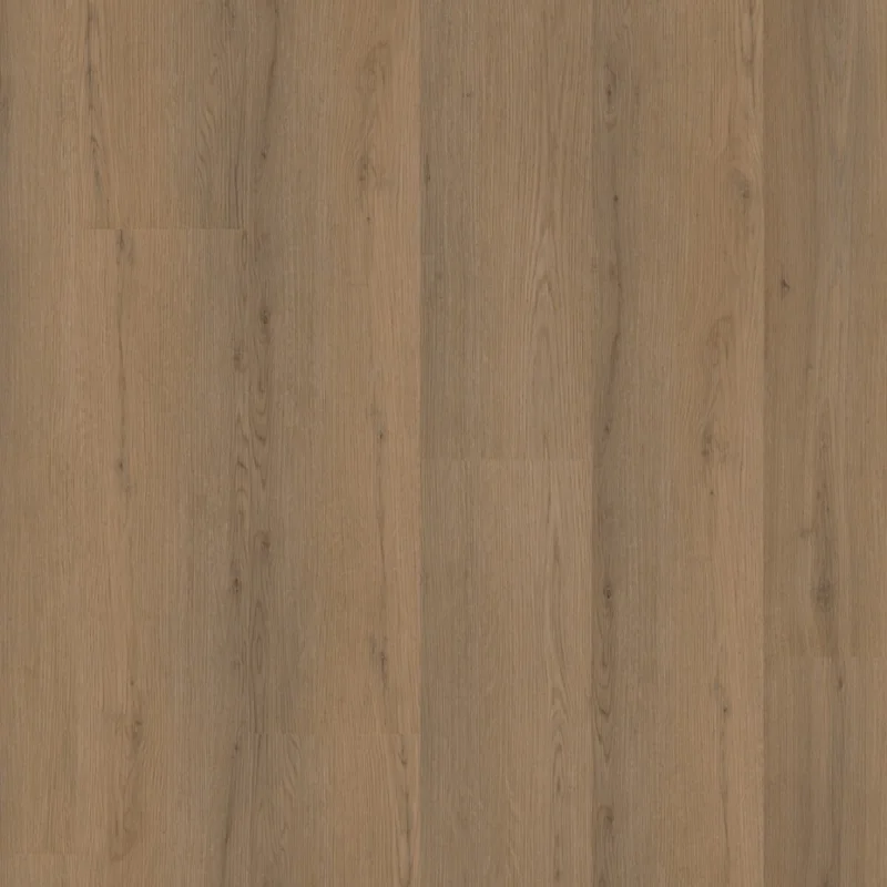 Koopje Straq P460 dryback dark oak