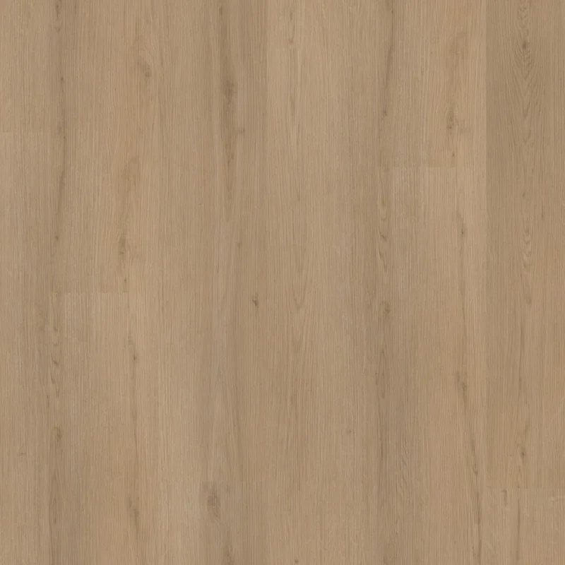 Straq P460 dryback natural oak Premium