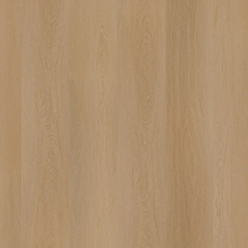 Straq P420 dryback dark oak Dagaanbieding