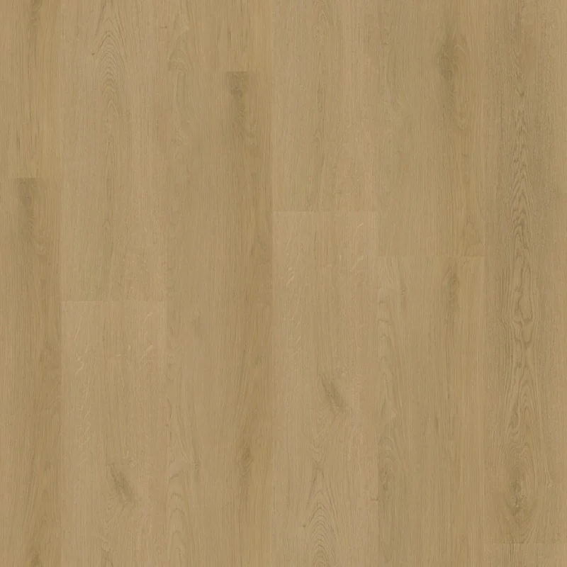 Straq P440 dryback light oak Finale Uitverkoop