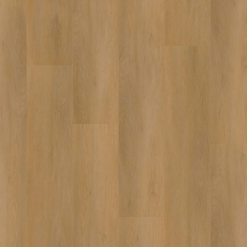 Lage Kosten Straq P455 click dark oak
