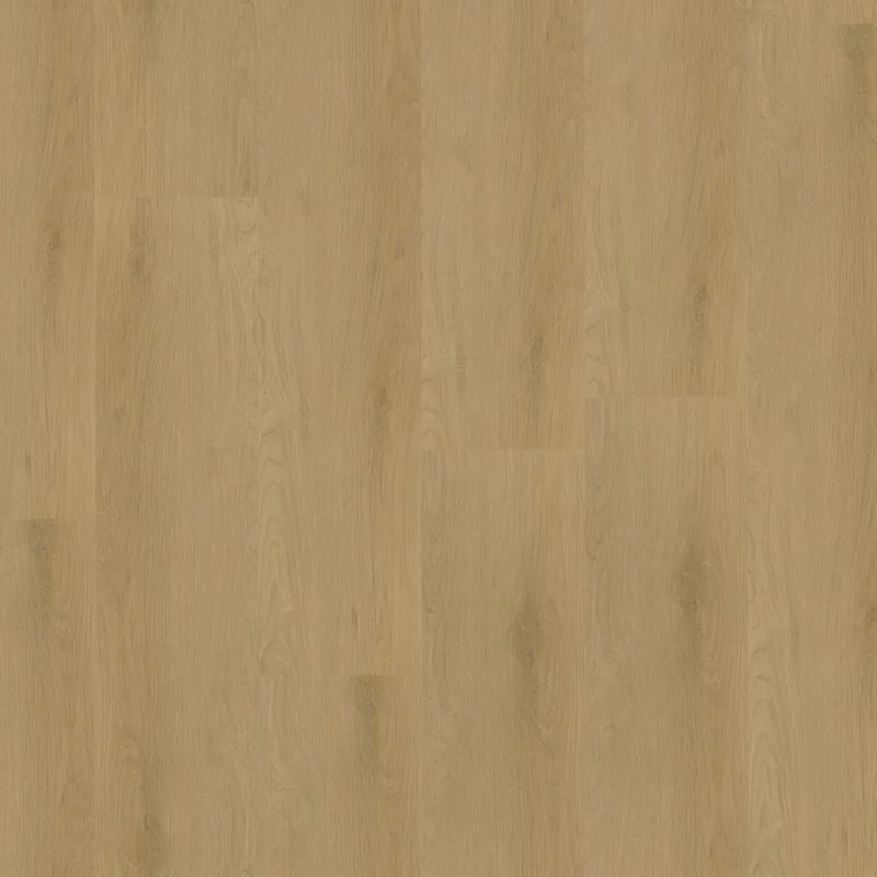 Straq P445 click light oak Speciale Aanbieding