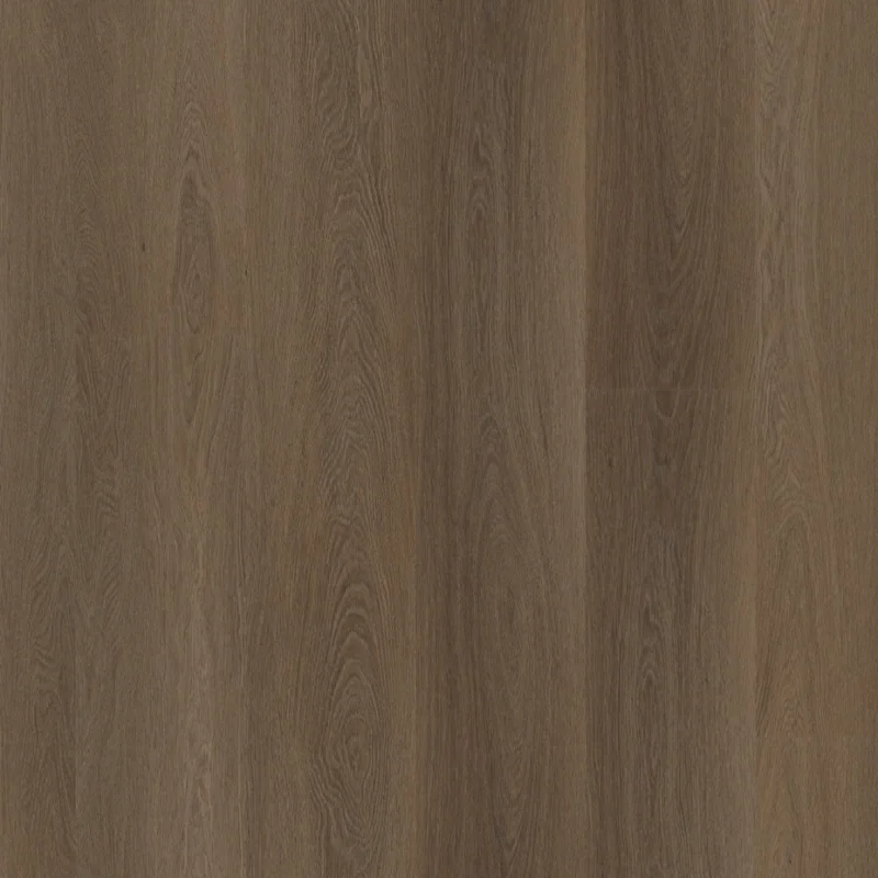 Straq P425 click SRC brown Finale Uitverkoop