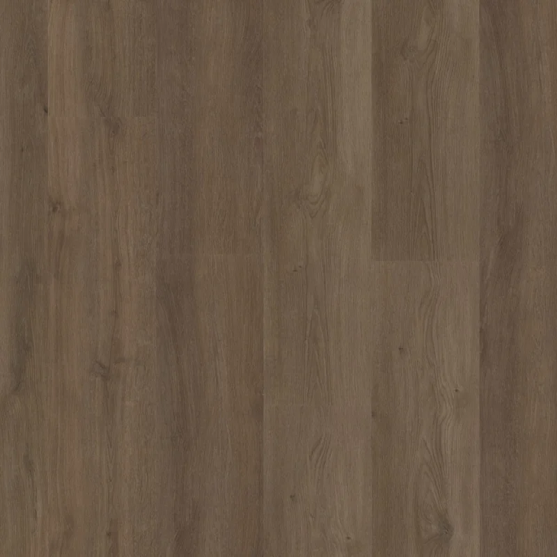 Straq P470 dryback warm brown Nu Kopen