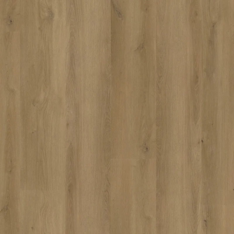 Speciale Aanbieding Straq P475 click SRC dark oak