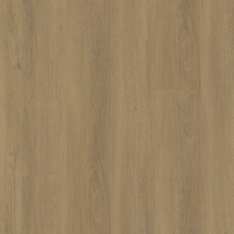 Straq P490 dryback warm natural Direct Verzonden