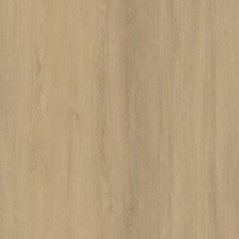Straq P490 dryback warm beige Bestseller