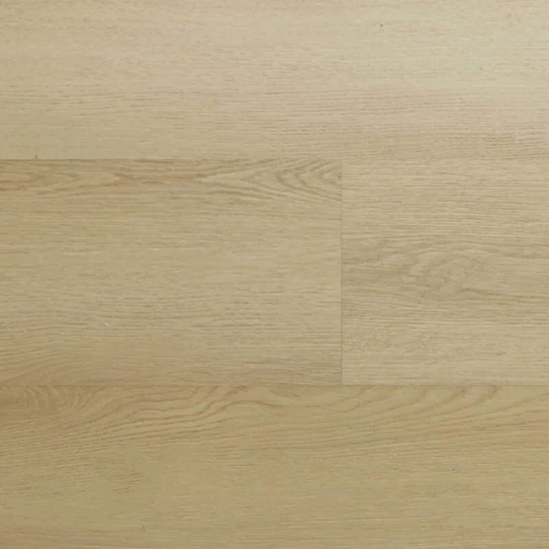 Shop Nu Montinique Lijmstrook Clermont XL 54821