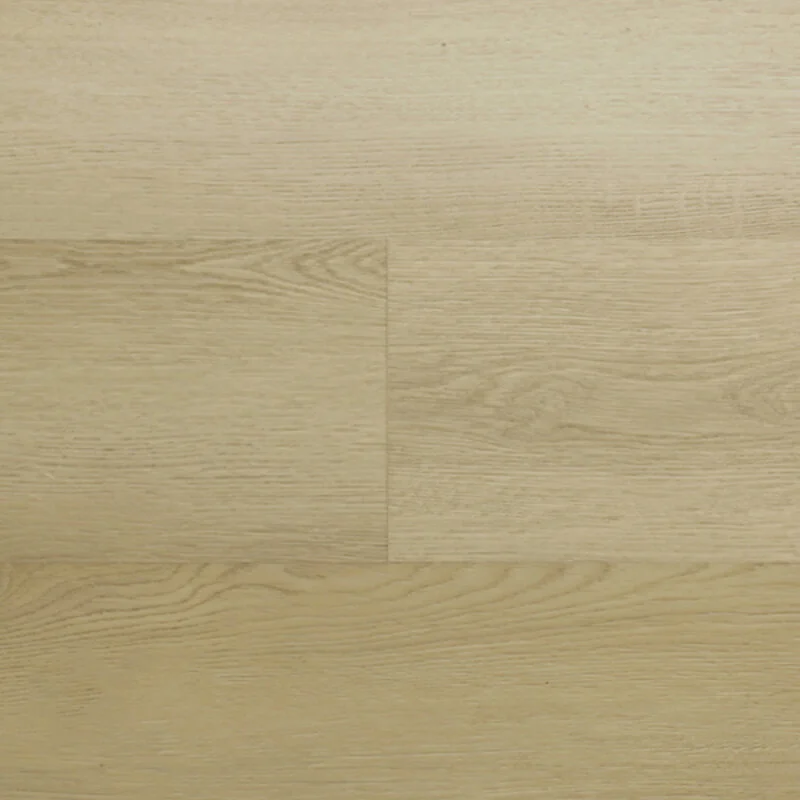 Montinique Lijmstrook Clermont XL 54820 Must-Have