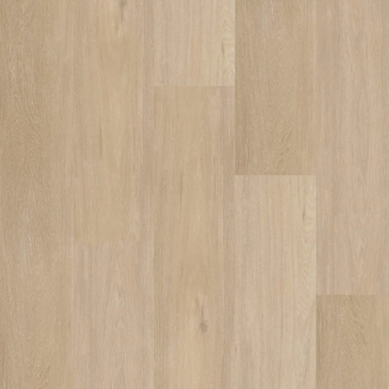 Therdex Click Chevron Serie C12042 Must-Have