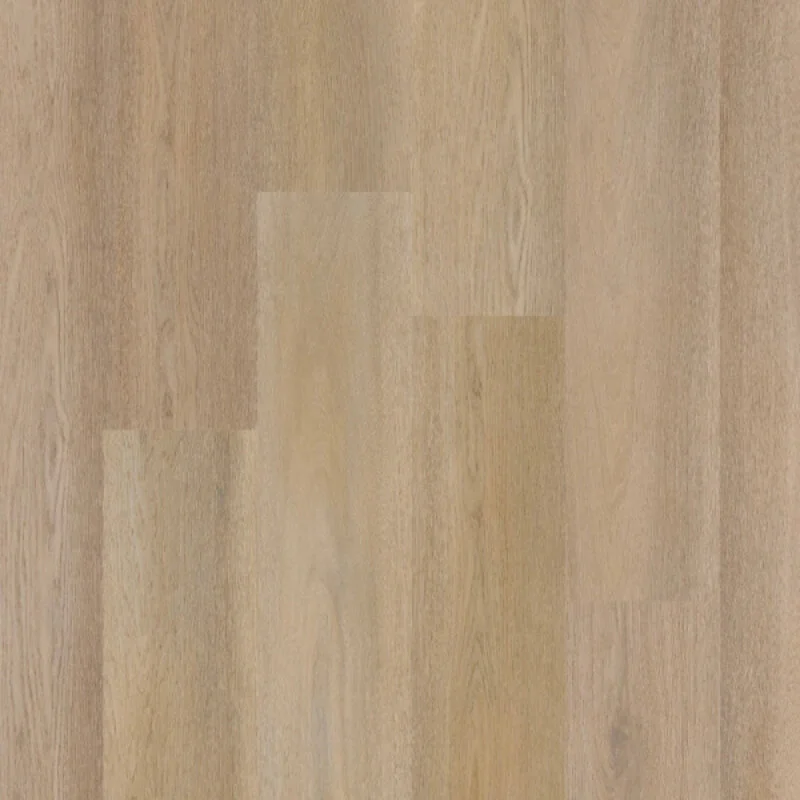 Betrouwbaar Therdex Lijmstrook Premier Serie 15084