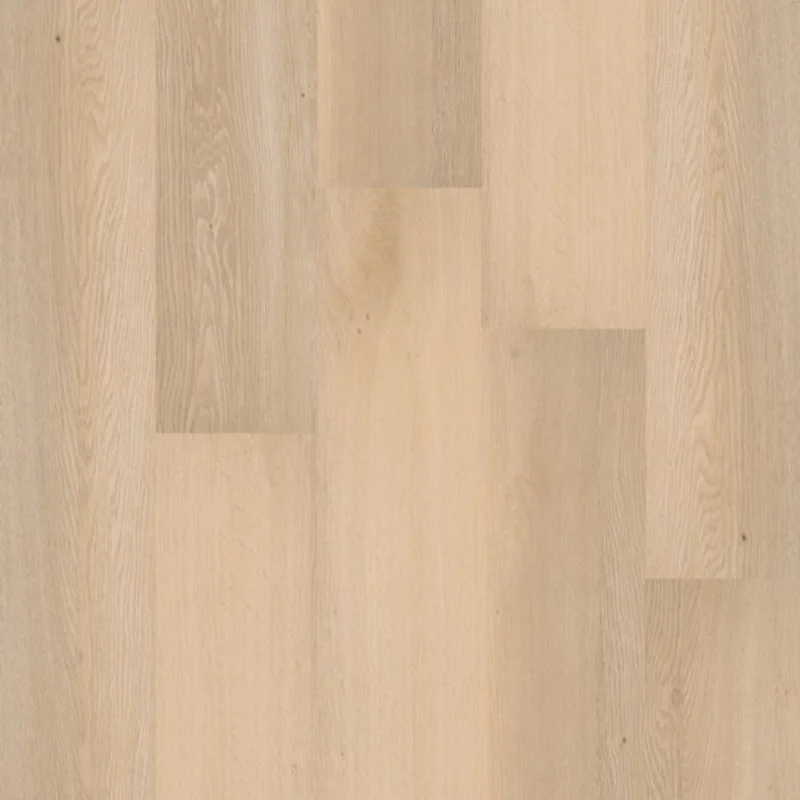 Therdex Click Premium Serie C70010 Meest Verkocht