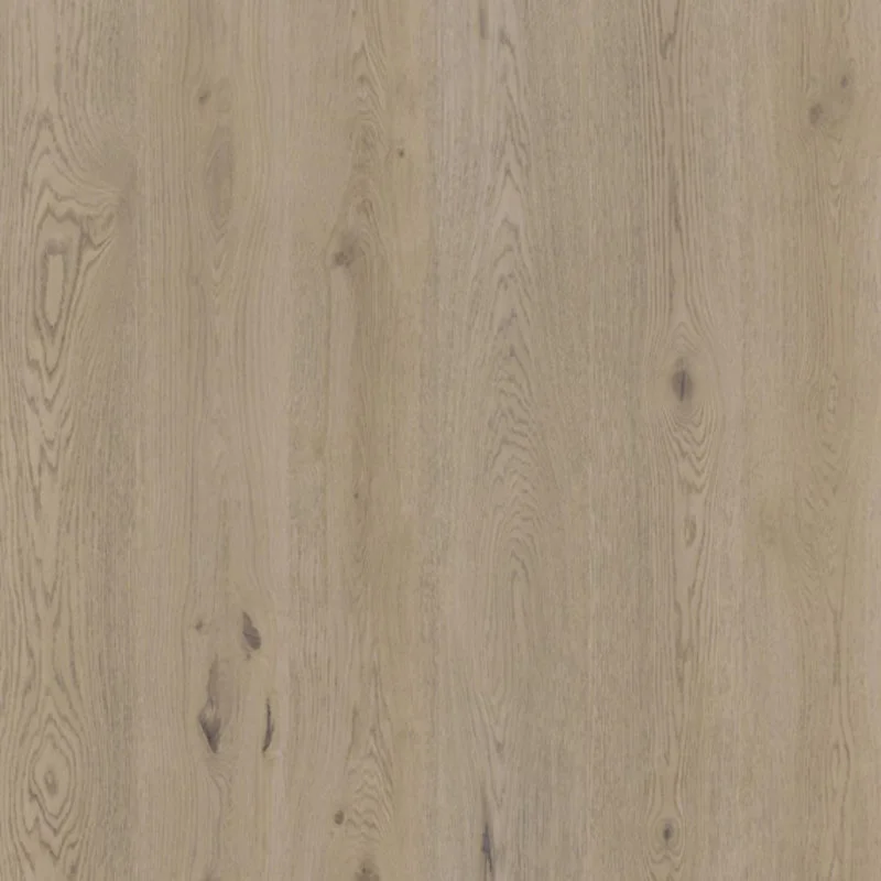 Laatste Kans Therdex Lijmstrook Authentic Serie 15061