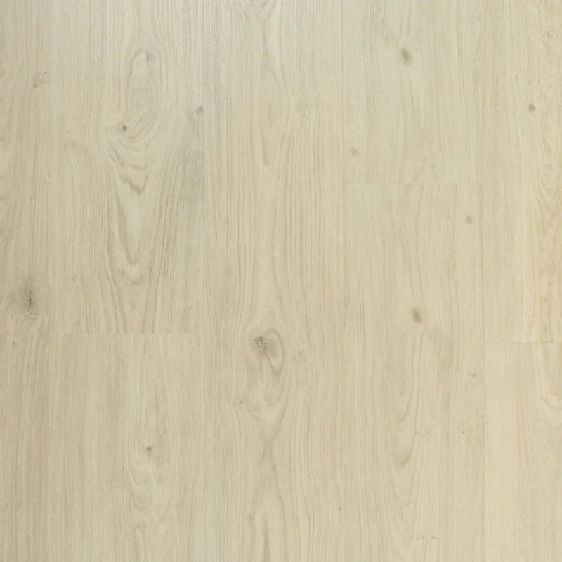 Veilige Betaling Riante plank Cheesecake Douwes Dekker Dryback Plak PVC