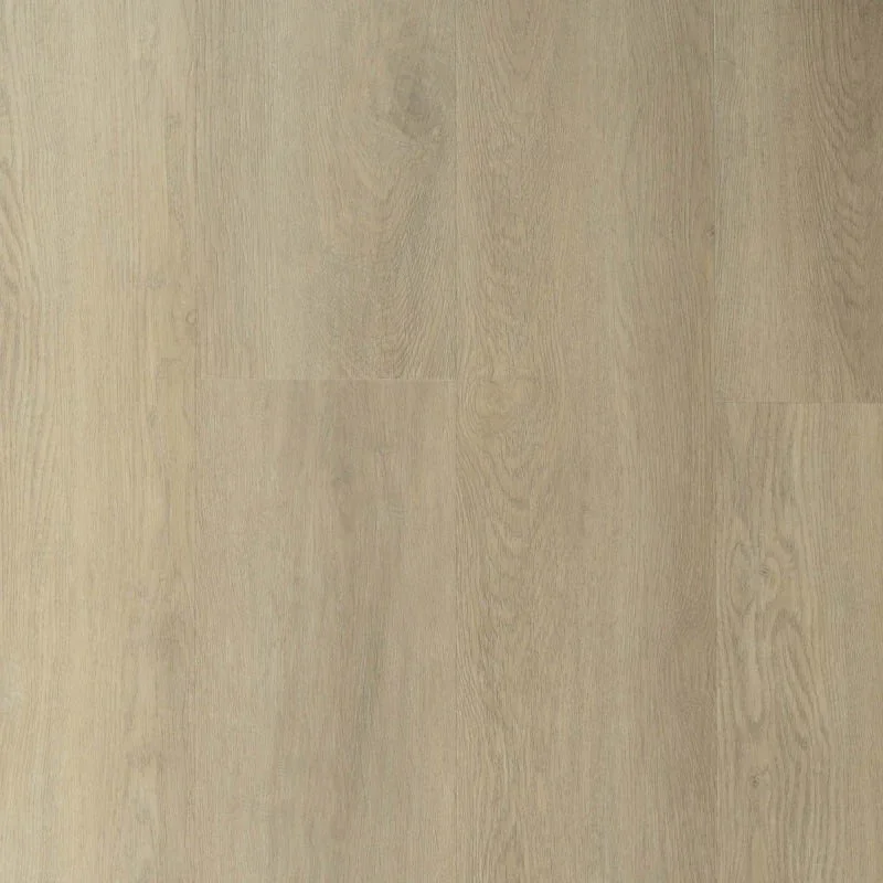 Koop Vandaag Sense P935 Lijm PVC Dryback
