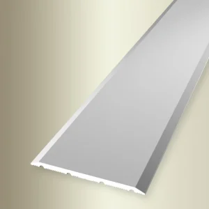 Nieuw Dilatatieprofiel 40mm Design Lengte 300 cm