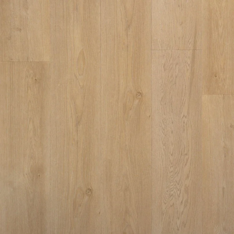 Premium Riante Plank Boterkoek Douwes Dekker Klik PVC Rigid