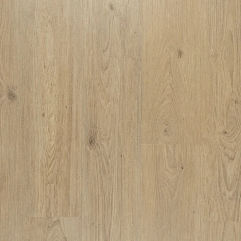 Meest Verkocht Riante plank Panna Cotta Douwes Dekker Klik PVC Rigid